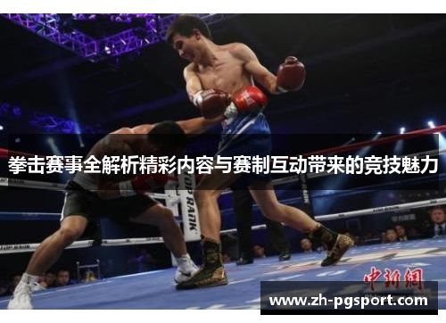 拳击赛事全解析精彩内容与赛制互动带来的竞技魅力