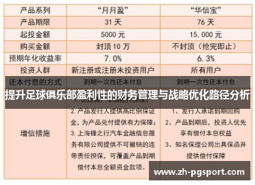 提升足球俱乐部盈利性的财务管理与战略优化路径分析