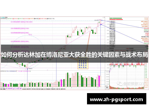 如何分析达林加在博洛尼亚大获全胜的关键因素与战术布局