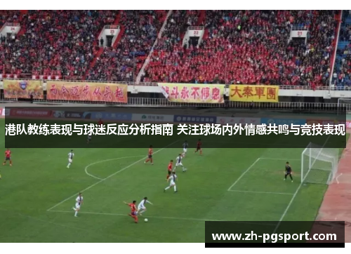 港队教练表现与球迷反应分析指南 关注球场内外情感共鸣与竞技表现