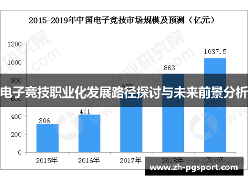 电子竞技职业化发展路径探讨与未来前景分析