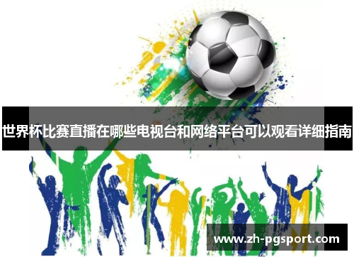 世界杯比赛直播在哪些电视台和网络平台可以观看详细指南