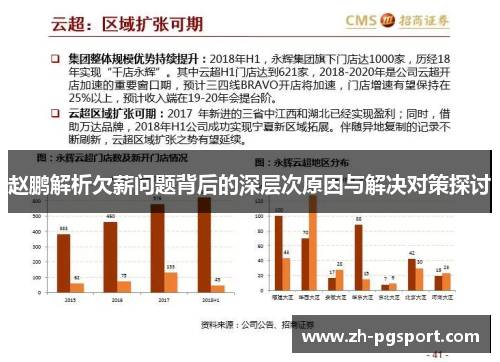 赵鹏解析欠薪问题背后的深层次原因与解决对策探讨