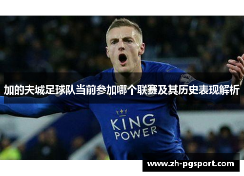 加的夫城足球队当前参加哪个联赛及其历史表现解析